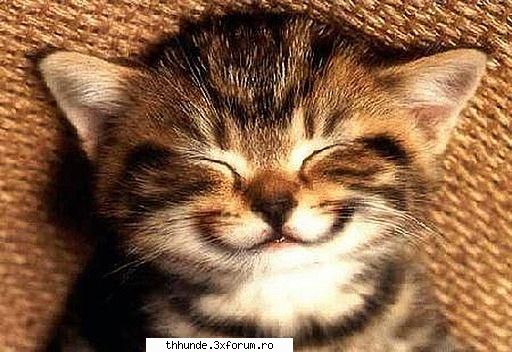 Fazan[;P] - "Alint" :P te-am batut :X :))) - ♫Jocuri♫